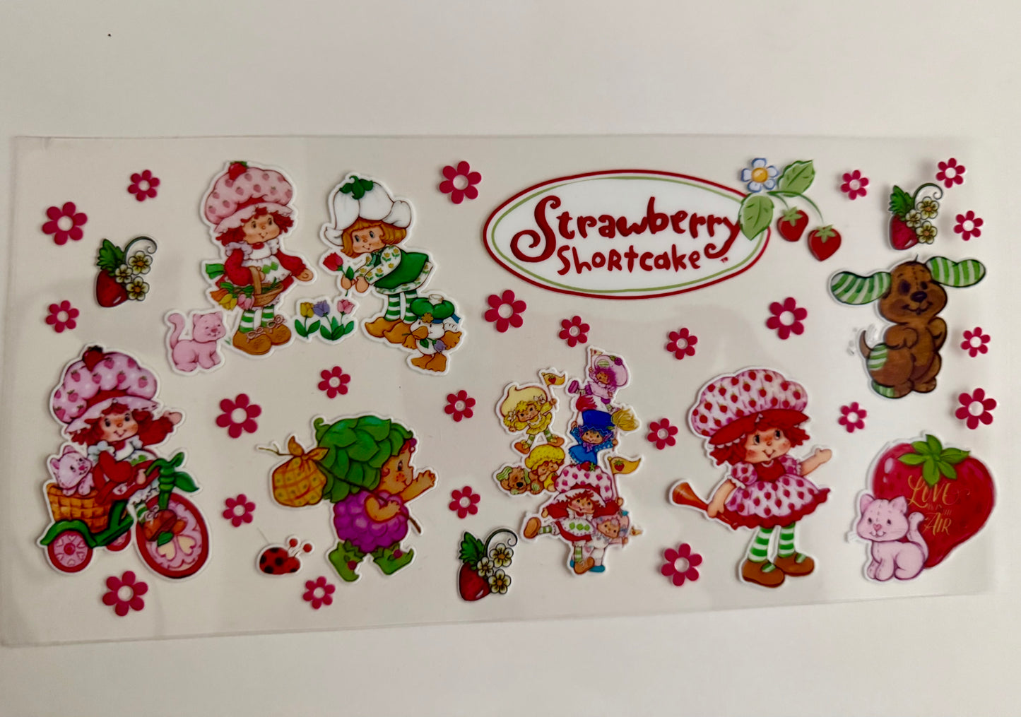 Strawberry Shortcake & Friends Wrap #1