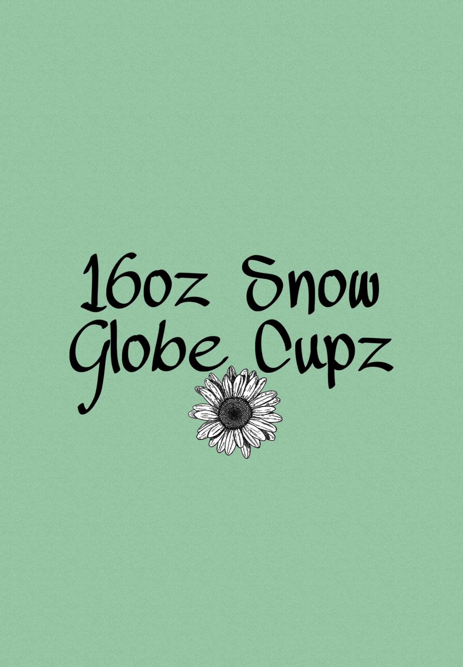 16oz Snow Globes